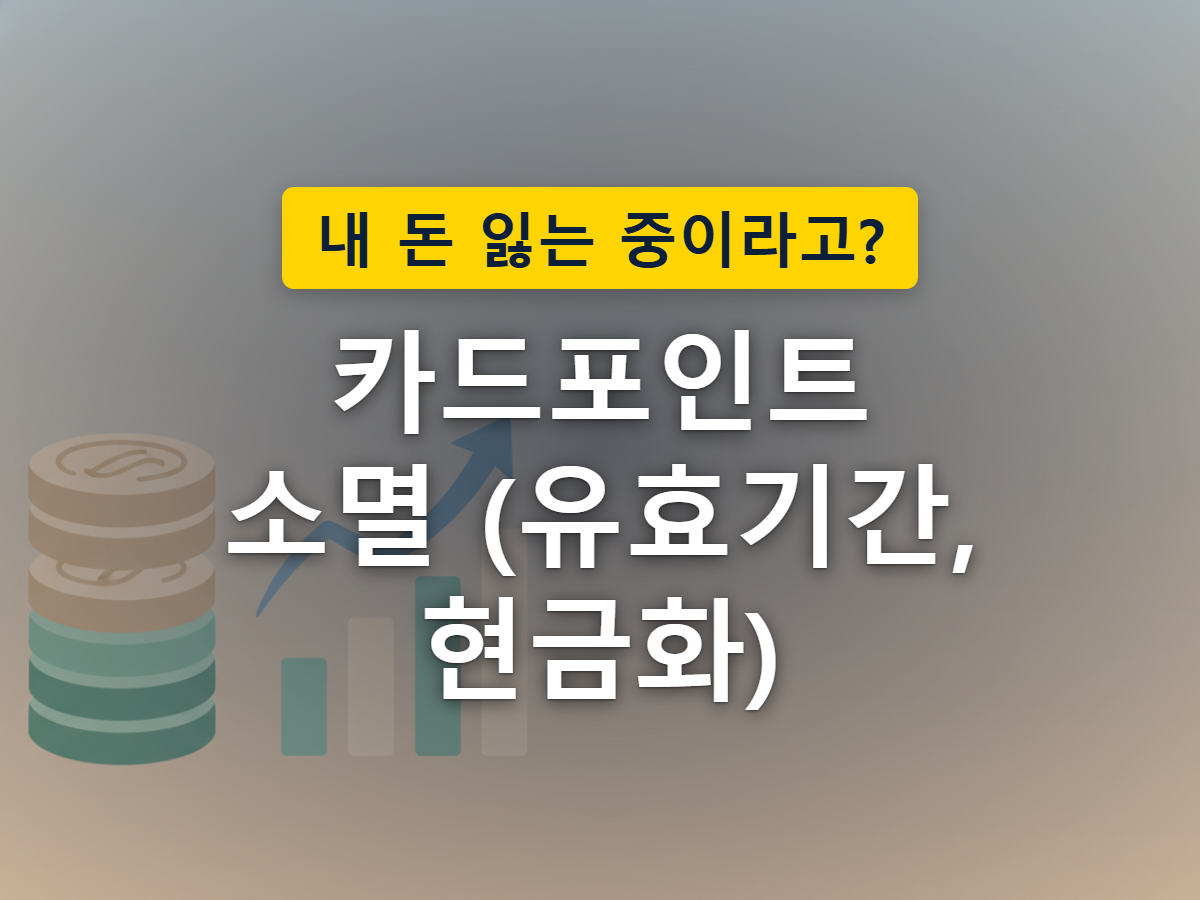 시간이 지날수록 카드 포인트가 하나씩 사라져가는 모습을 표현한 이미지