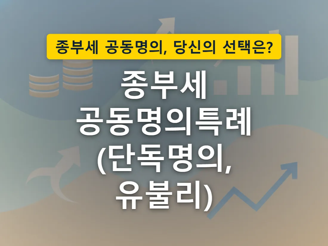 부부 공동명의 집 한 채를 두 가지 방식 중 하나로 선택해 신고한다는 것을 표현한 이미지