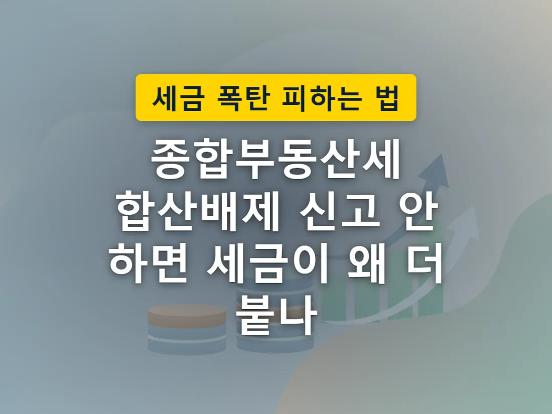 여러 채의 주택 중 한 채만 합산 대상에서 빠지는 모습을 표현한 이미지