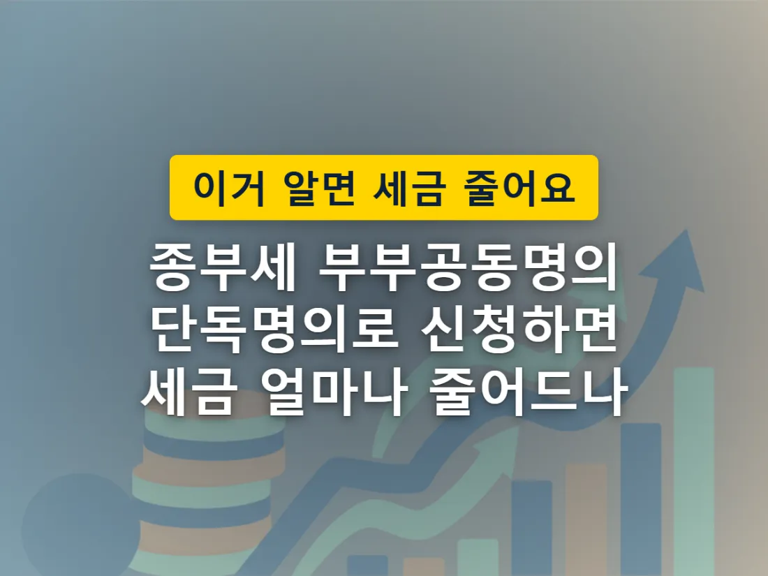 공동명의와 특례신청, 두 갈래 선택을 표현한 이미지